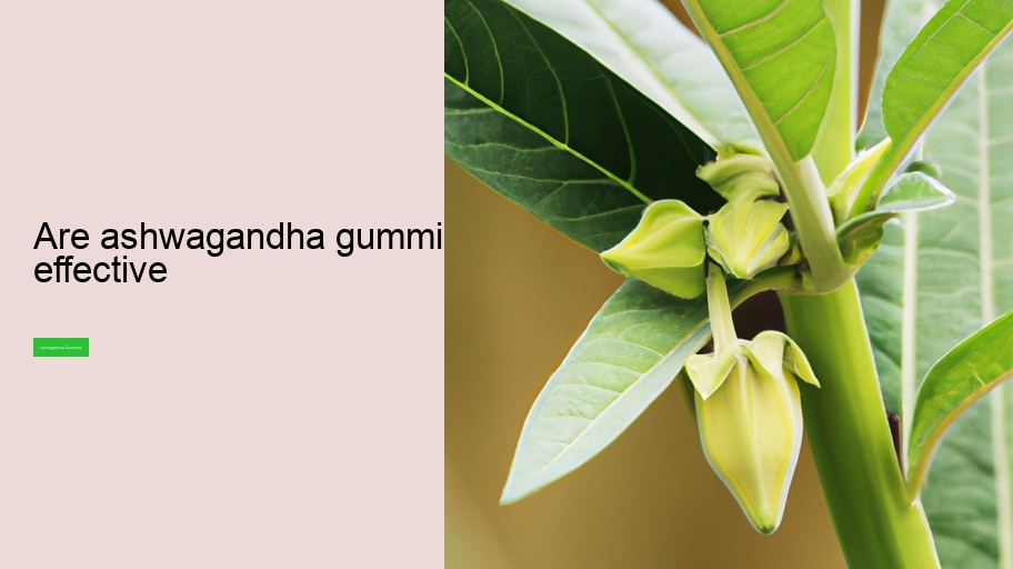 are ashwagandha gummies effective