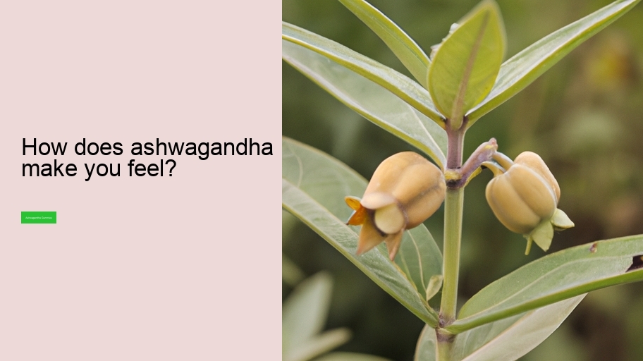 How does ashwagandha make you feel?