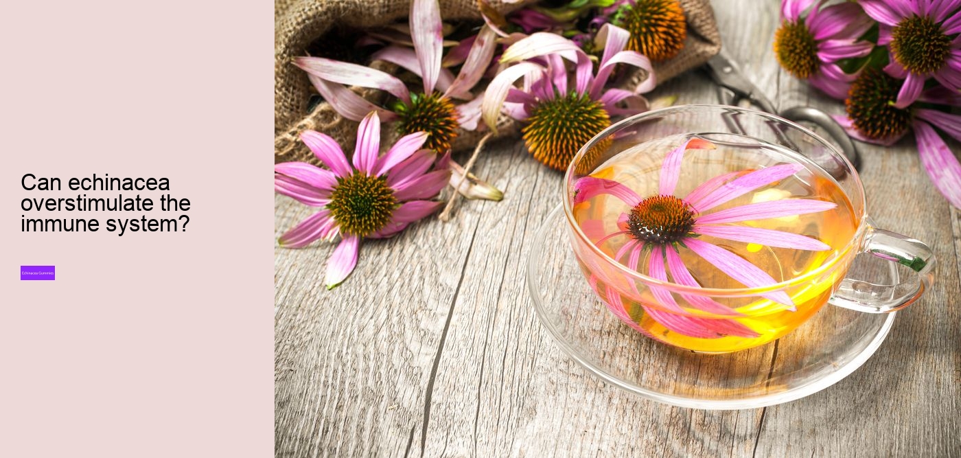 Does echinacea cleanse your body?