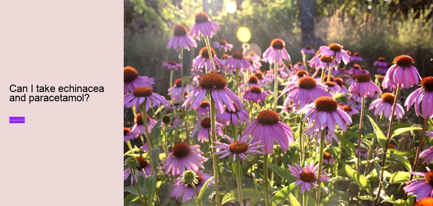 propolis and echinacea gummies benefits