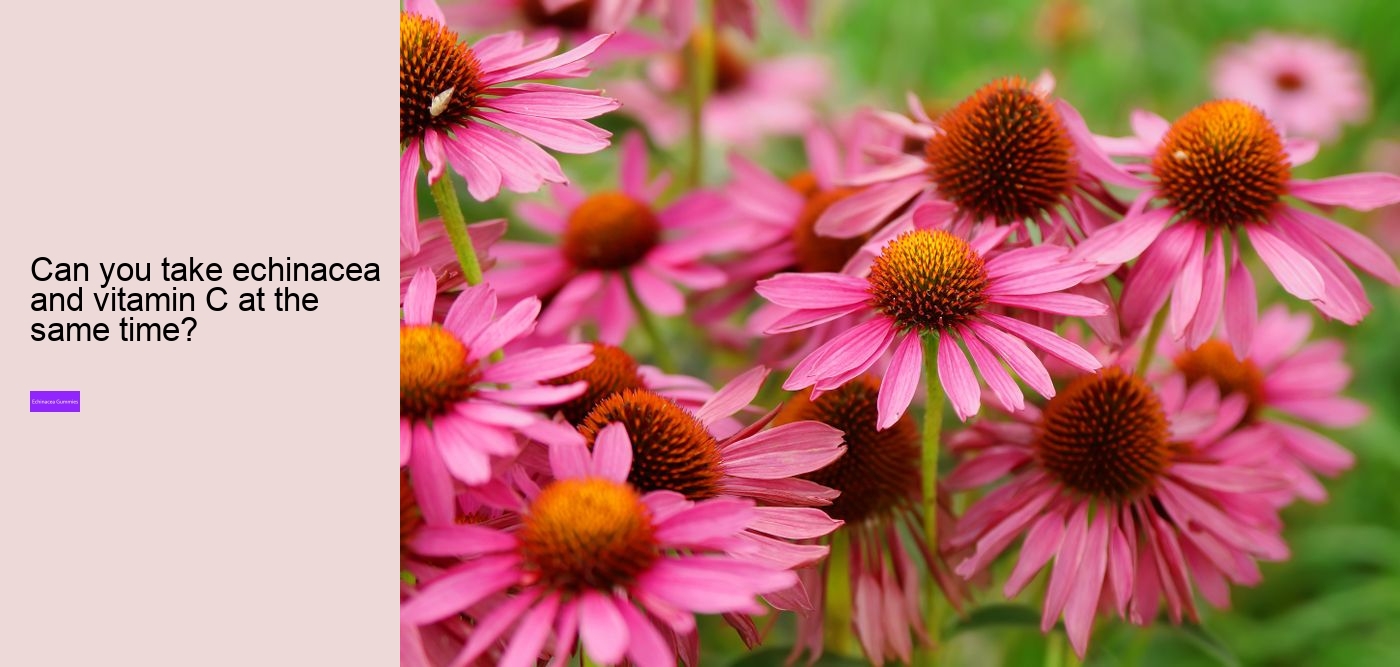 Is it worth taking echinacea?