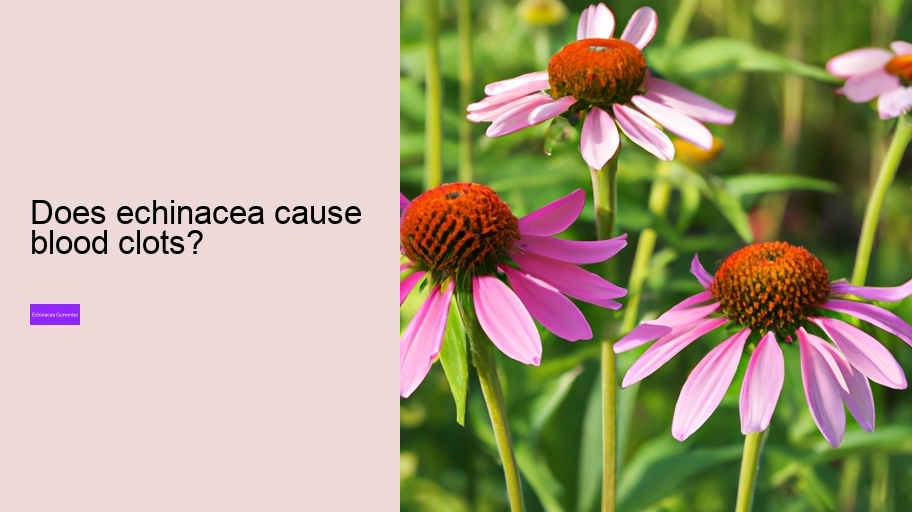 Does echinacea cause blood clots?