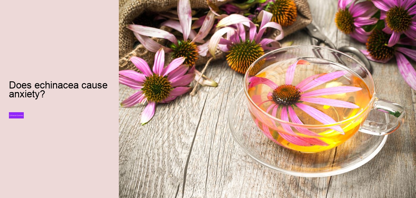 Can I take echinacea supplements everyday?