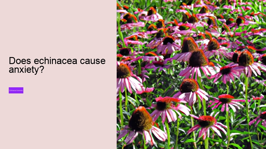 Does echinacea cause anxiety?