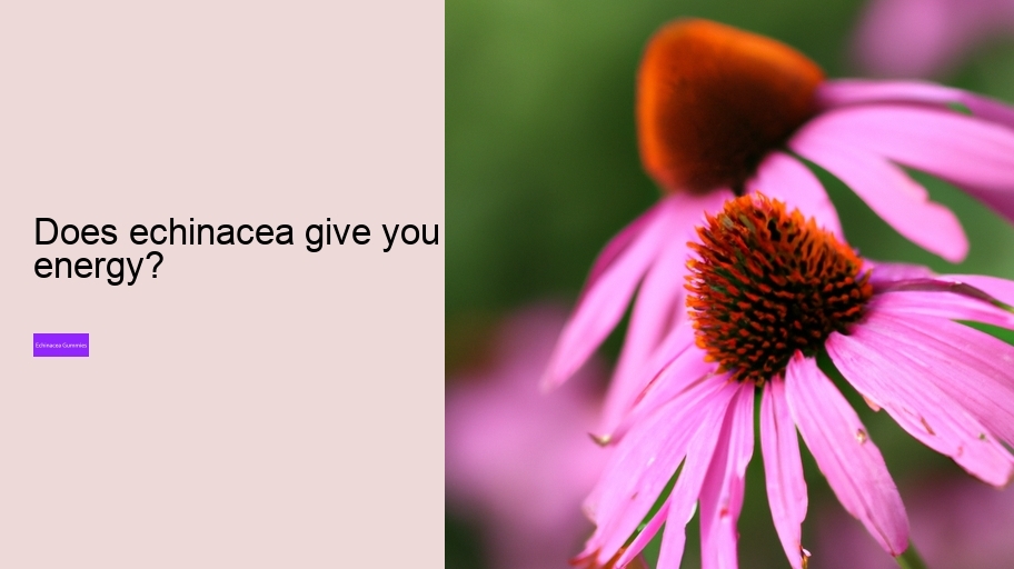 Does echinacea give you energy?