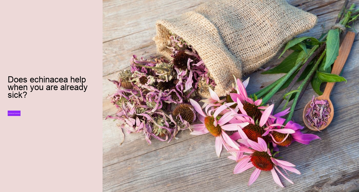 What are the benefits and side effects of echinacea?