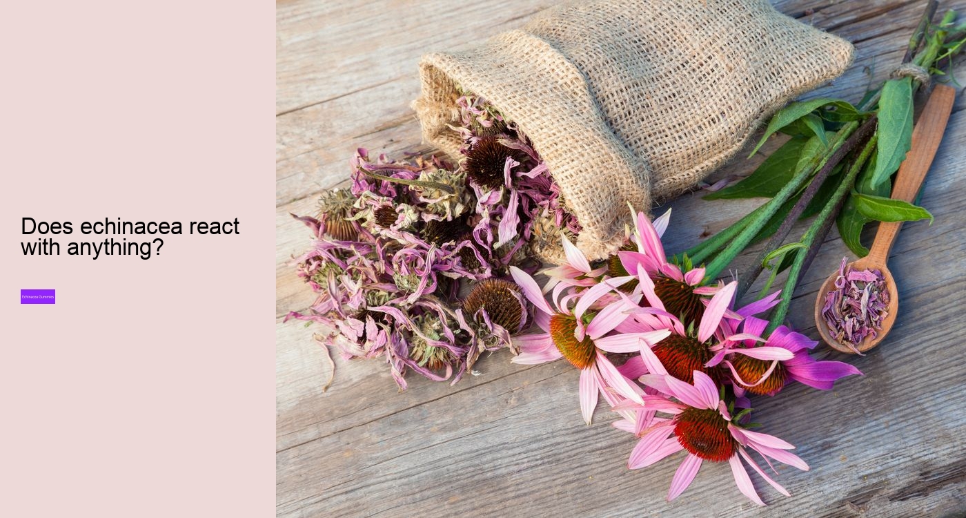 Is echinacea an anti inflammatory?