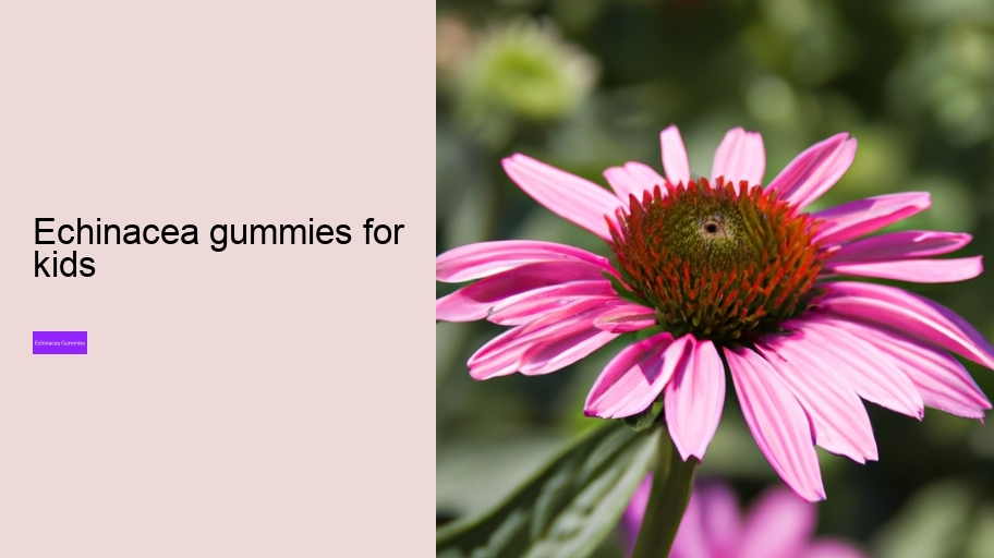echinacea gummies for kids