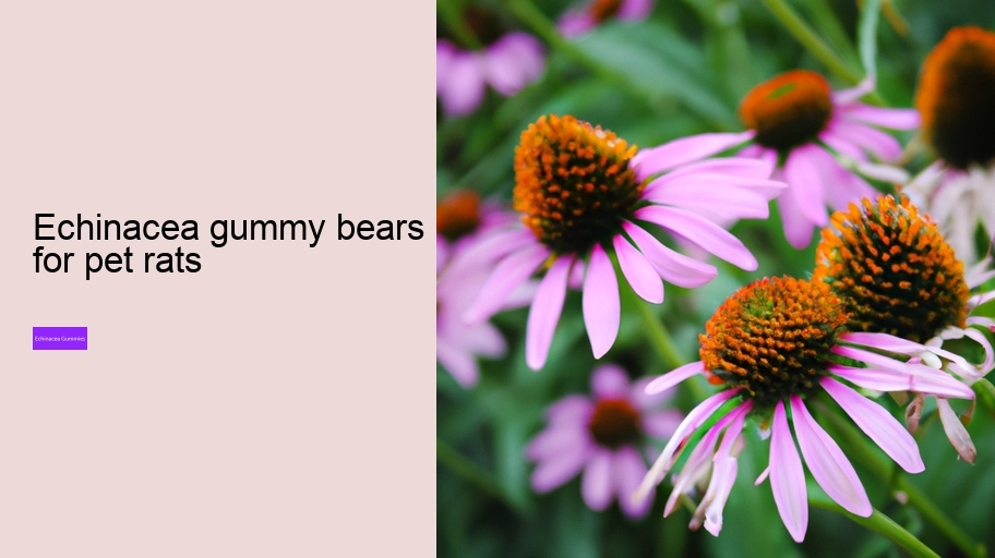 echinacea gummy bears for pet rats