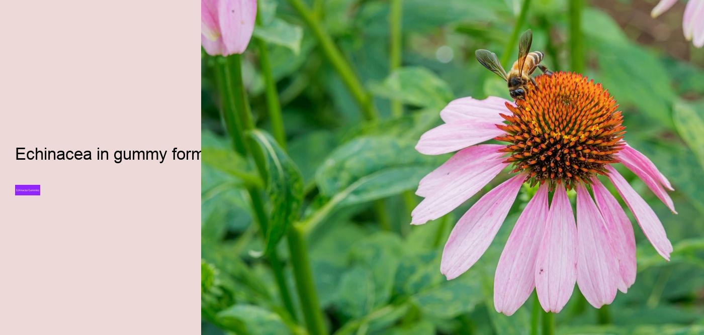 propolis and echinacea gummies