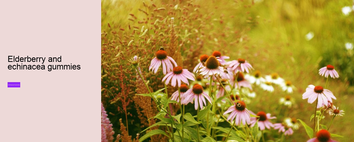 Does echinacea cause blood clots?