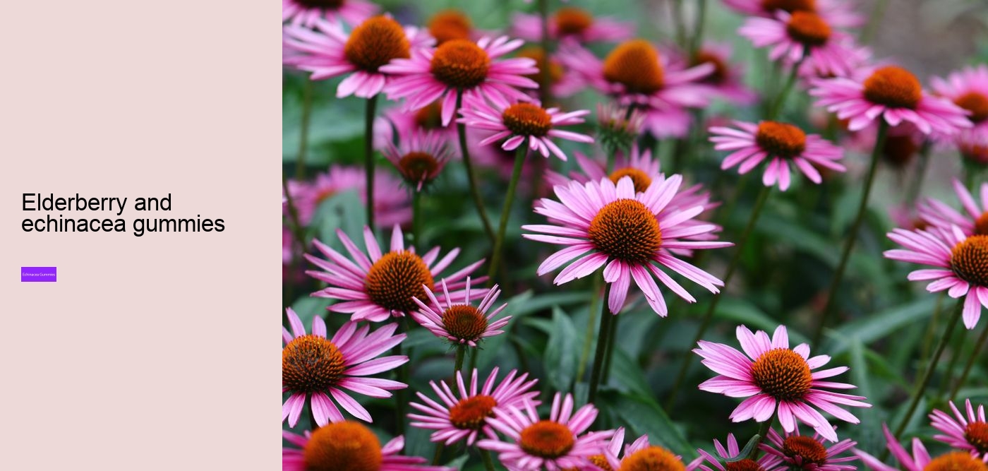 echinacea zinc vitamin c