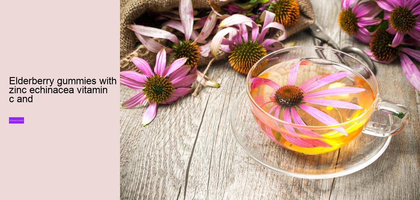 Why should you not take echinacea everyday?