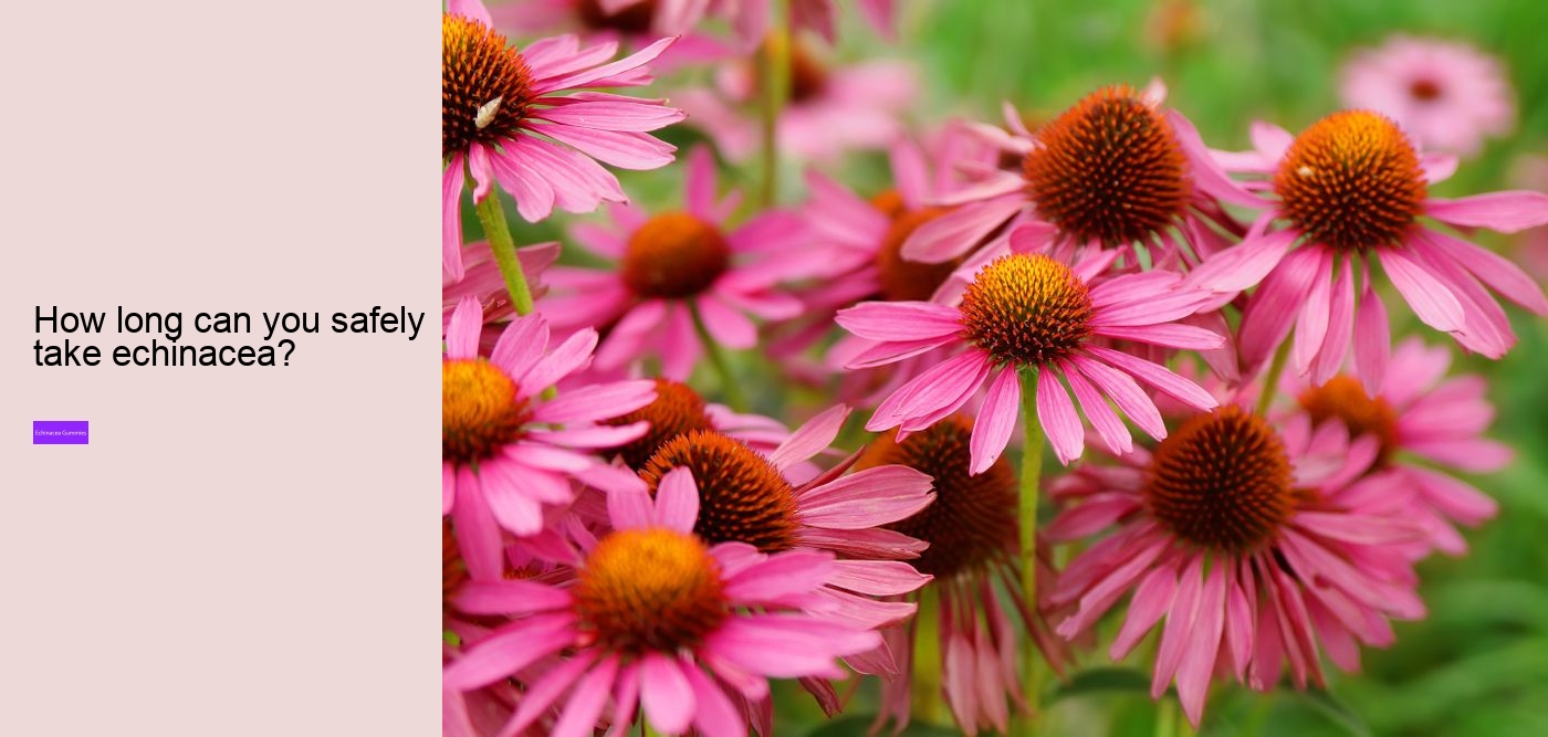 Which brand of echinacea is best?