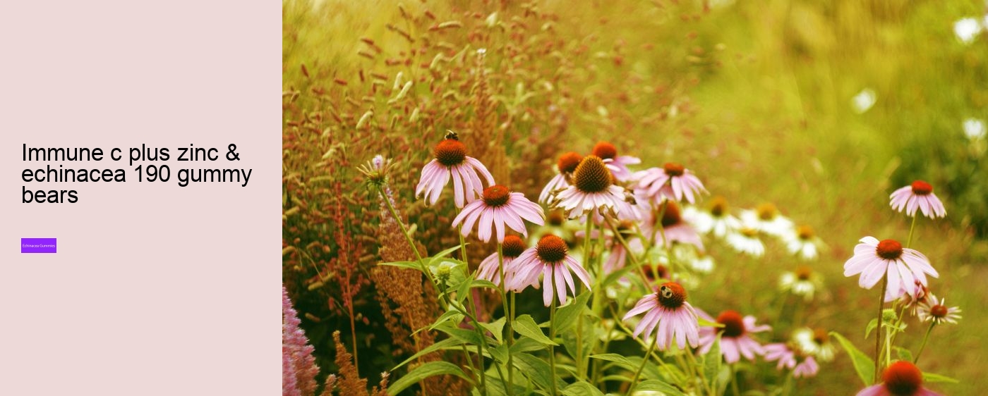 Why not take echinacea on an empty stomach?