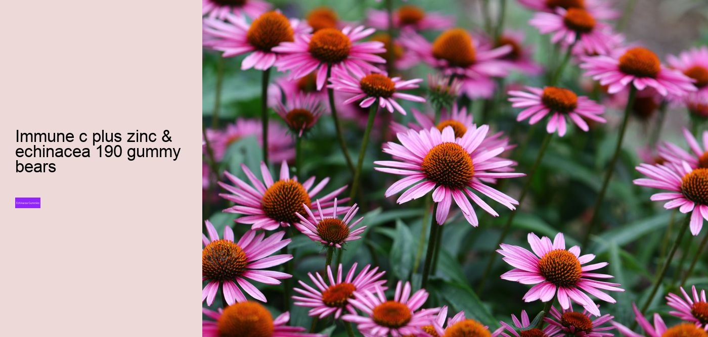 echinacea for kids gummies