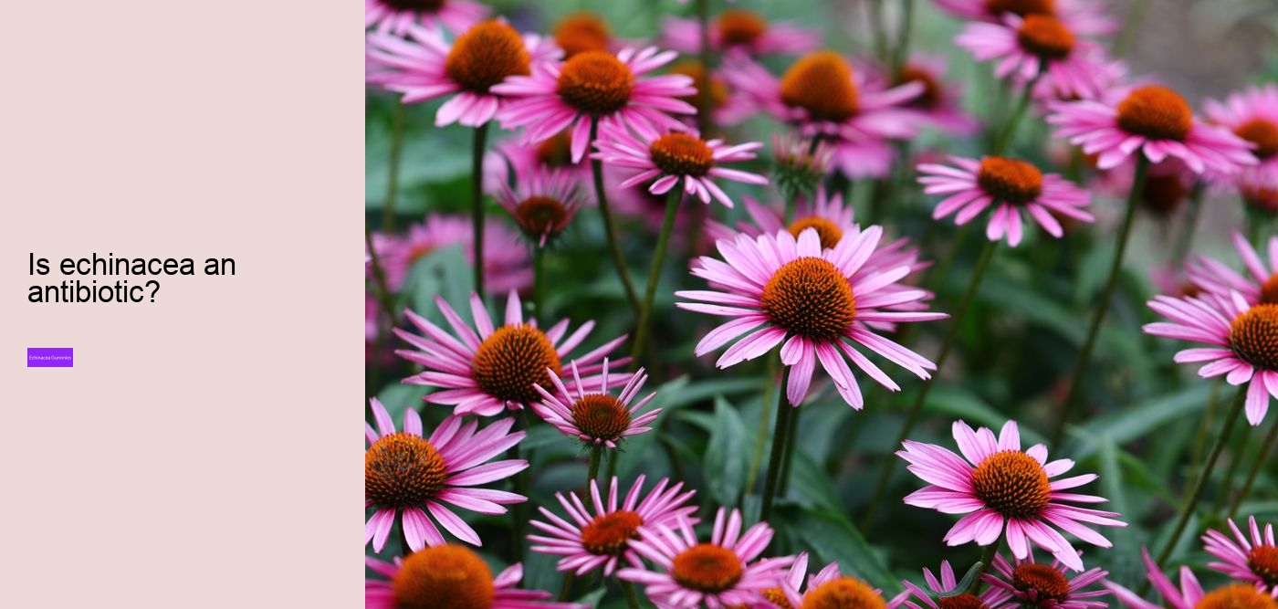 Does echinacea affect sleep?