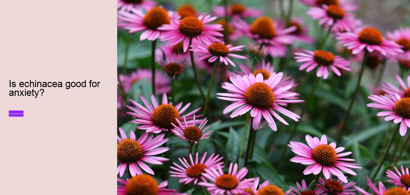 What does echinacea do for hormones?