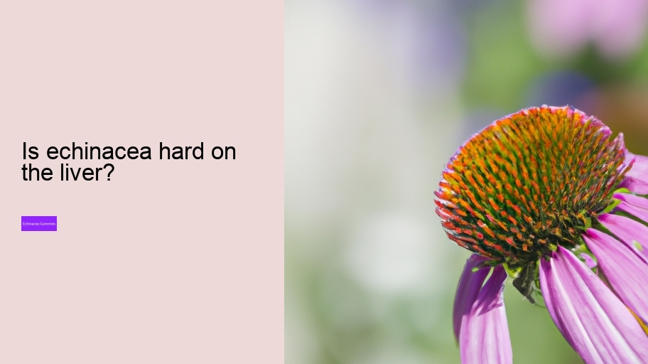 Is echinacea hard on the liver?