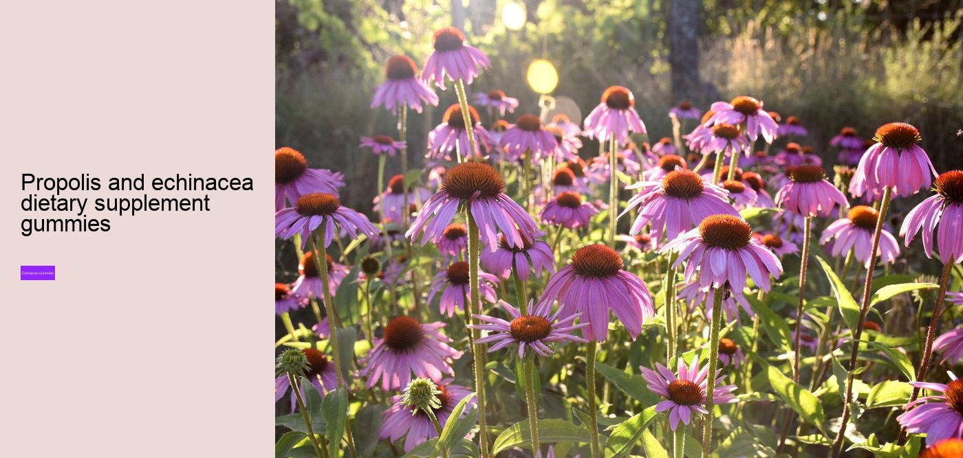 elderberry echinacea gummies