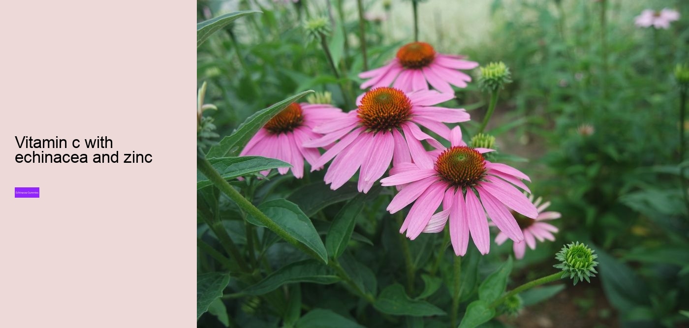 elderberry echinacea gummies