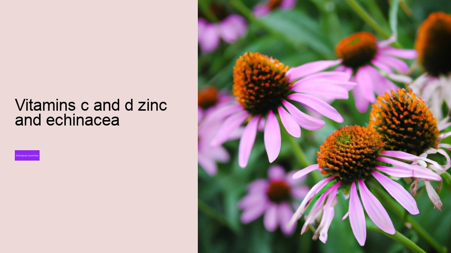 vitamins c and d zinc and echinacea