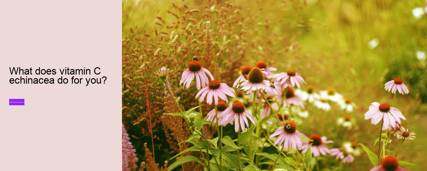 multivitamin gummies with echinacea