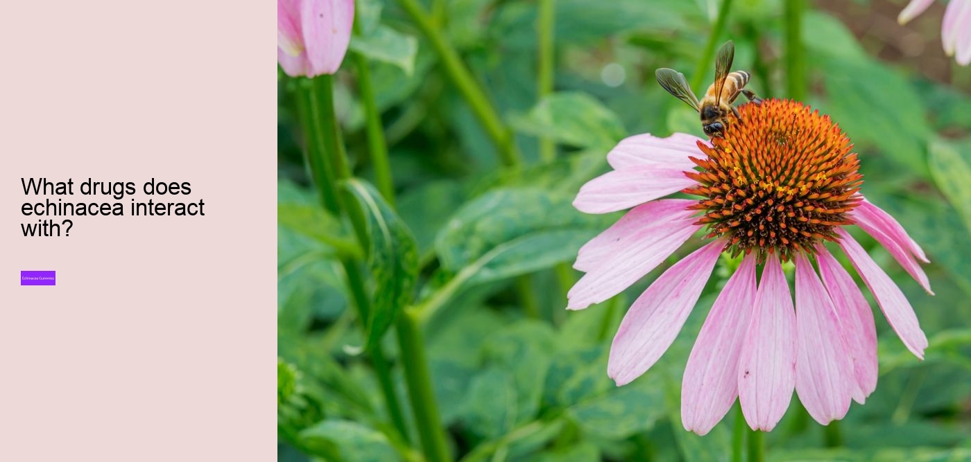 What are the benefits of propolis and echinacea gummies?