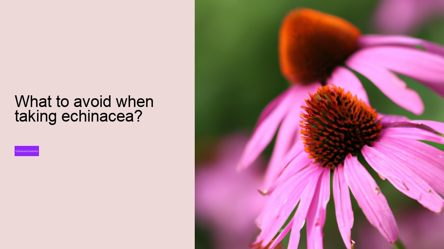 What to avoid when taking echinacea?