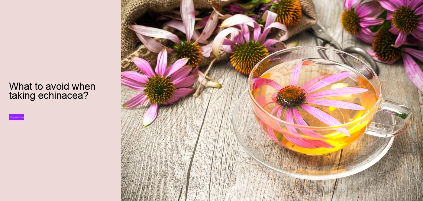 Can echinacea overstimulate the immune system?