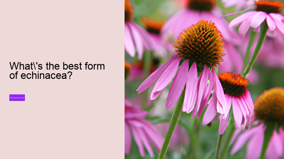 What's the best form of echinacea?