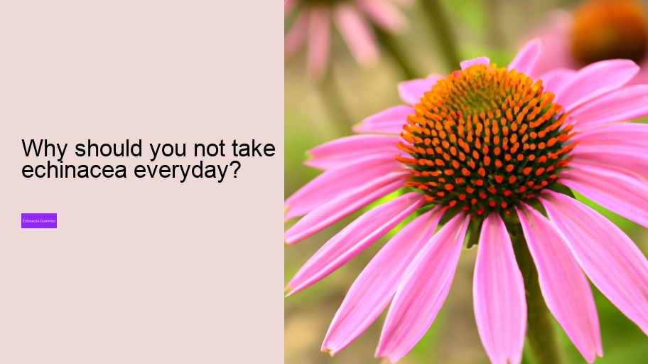 Why should you not take echinacea everyday?