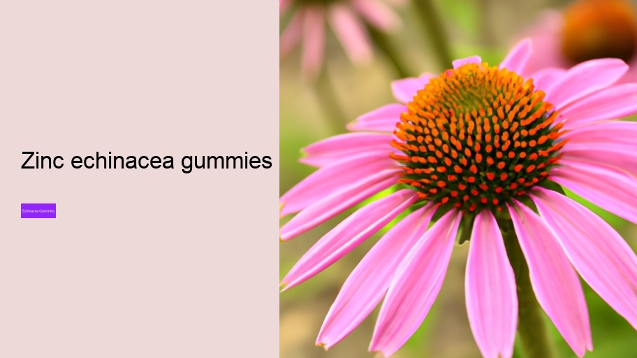 zinc echinacea gummies