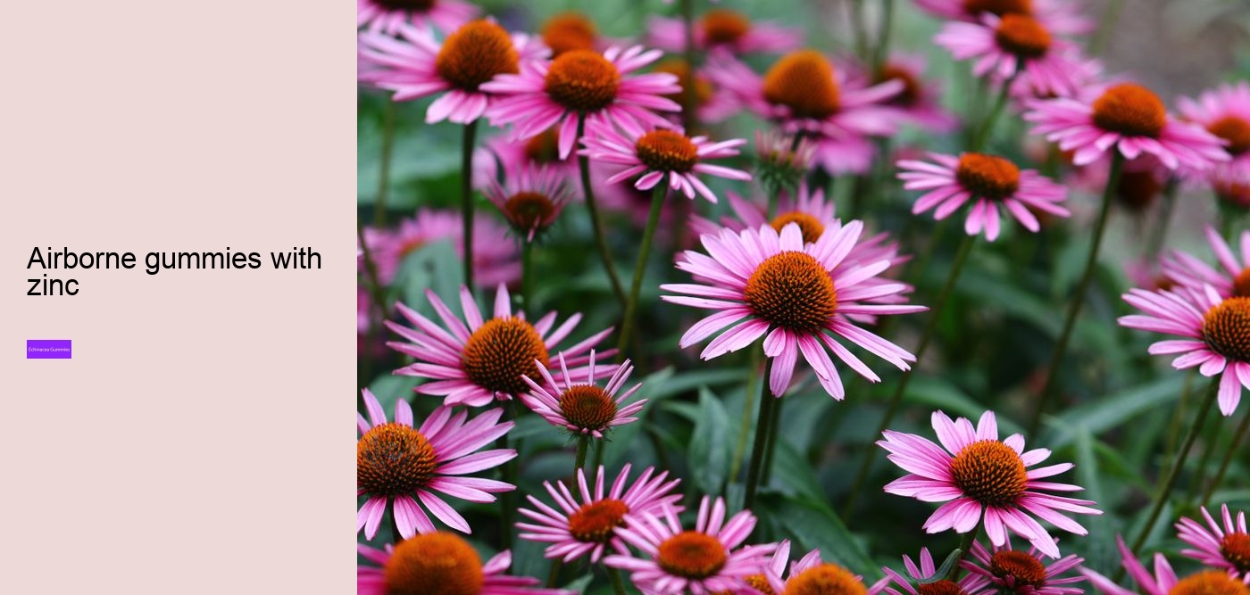 children's echinacea gummies