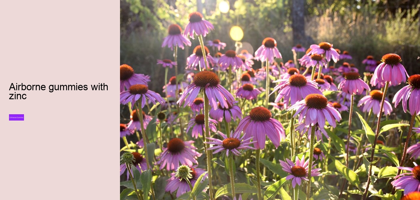 echinacea in gummy form