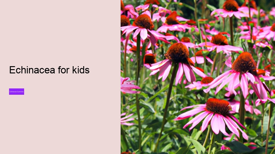 echinacea for kids