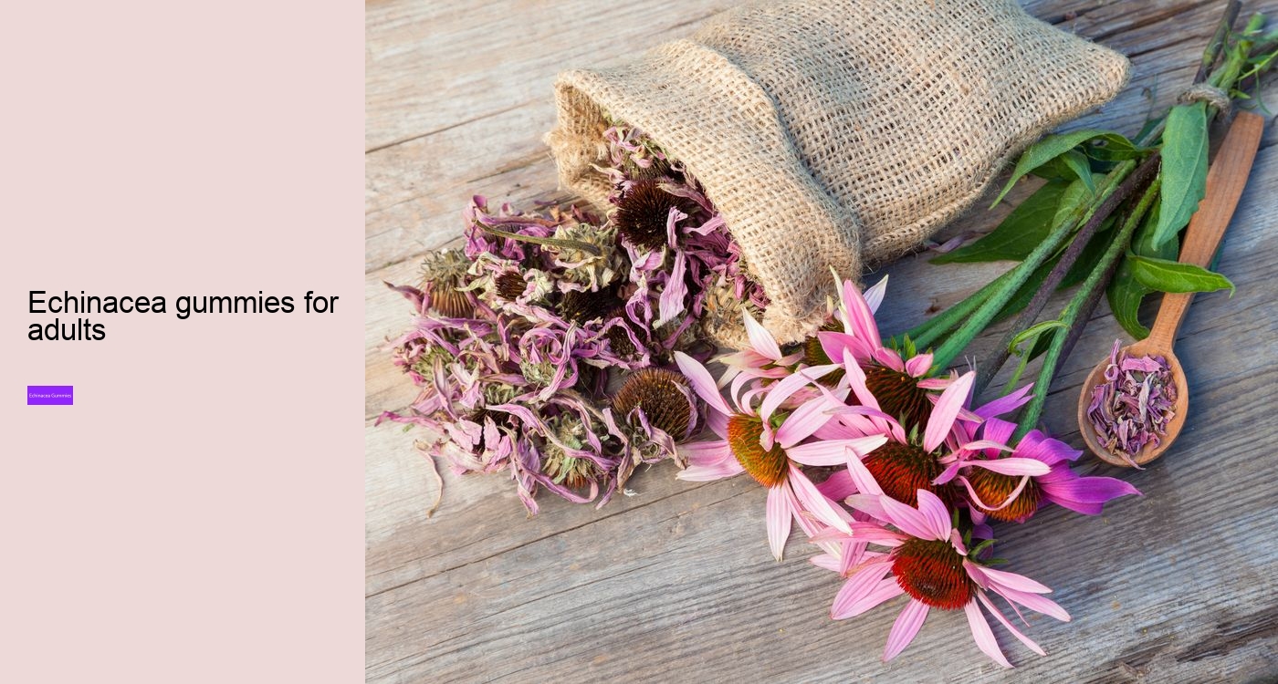 Does echinacea make you sleepy?