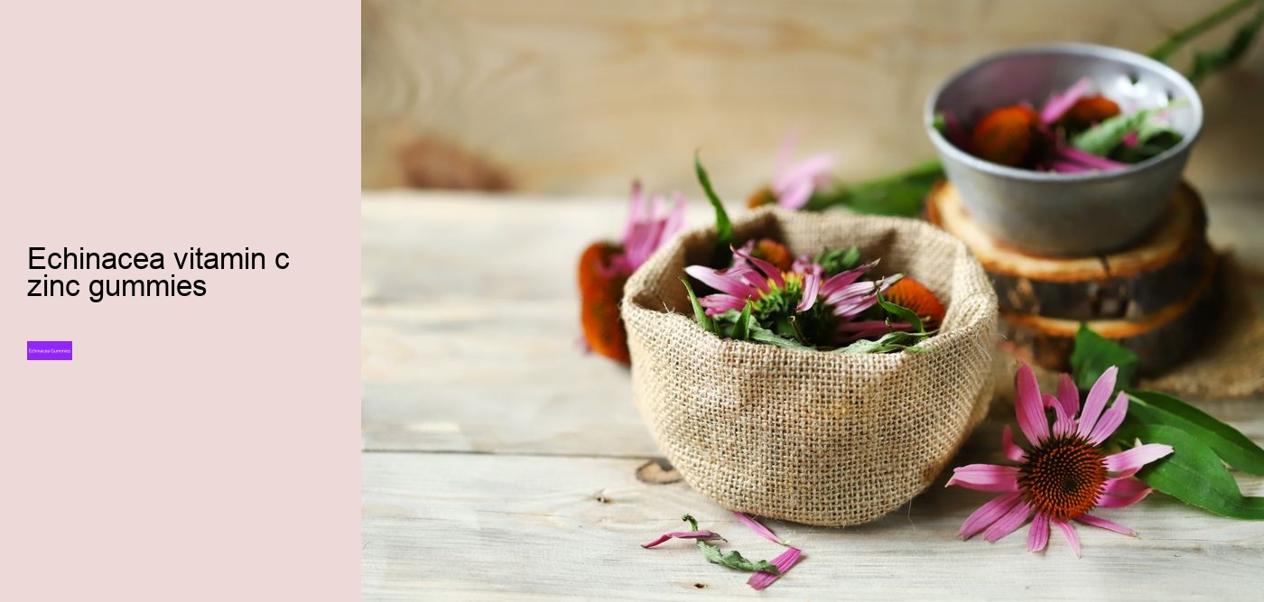 elderberry and echinacea gummies