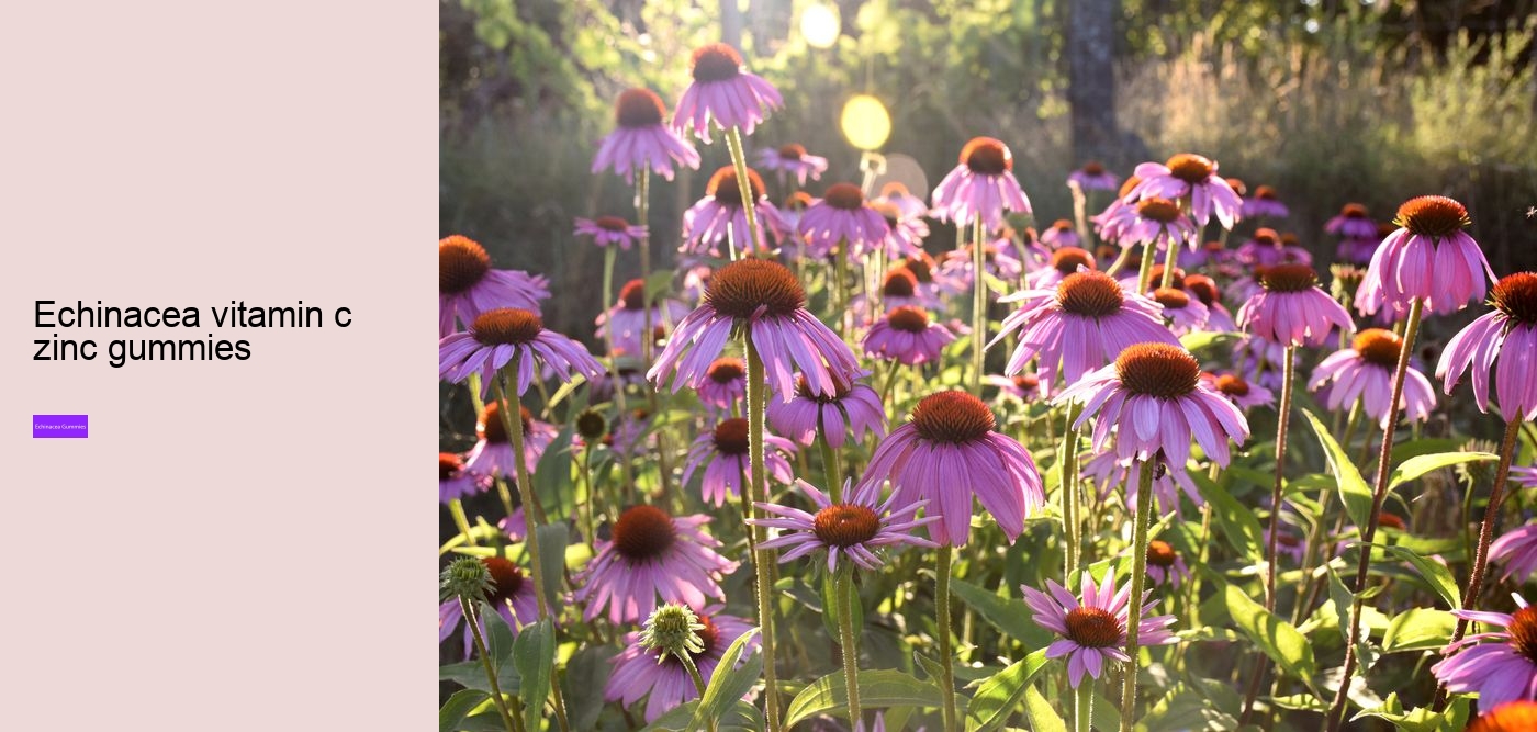 What are the benefits of propolis and echinacea gummies?