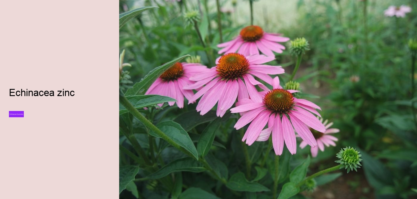 multivitamin gummies with echinacea