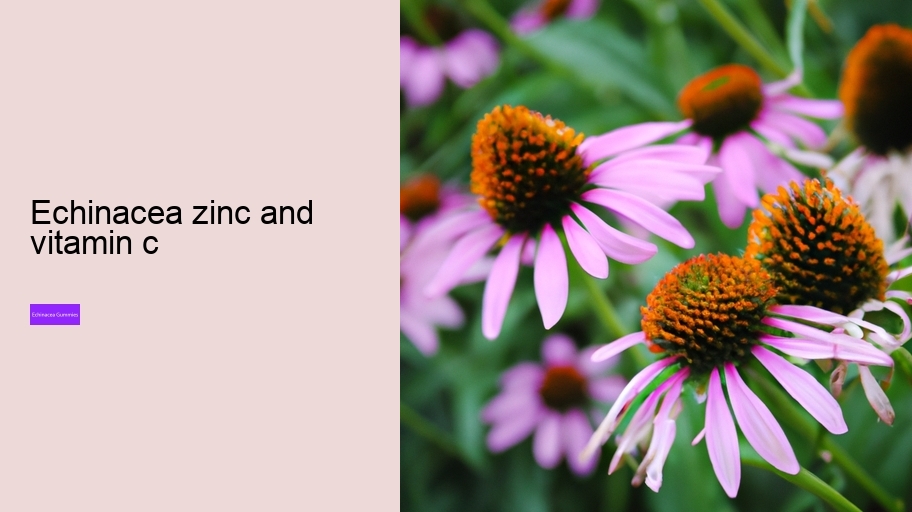 echinacea zinc and vitamin c