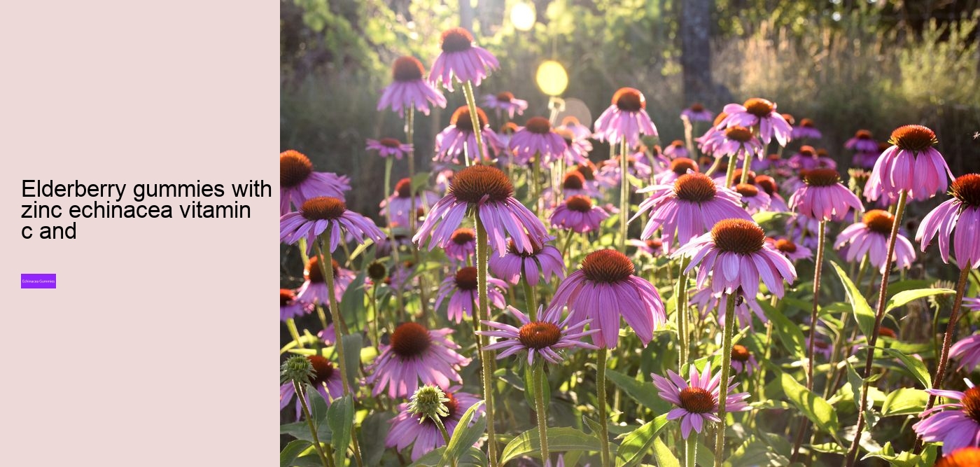 Does echinacea cleanse your body?