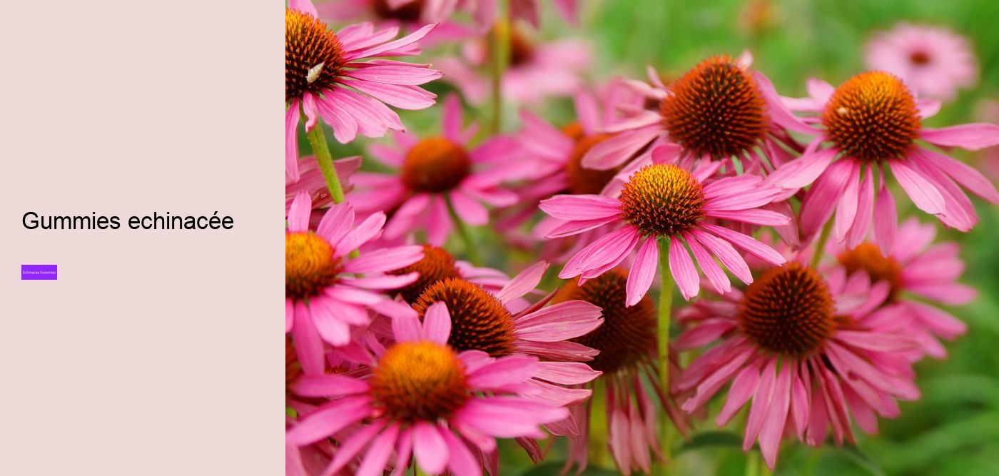 multivitamin gummies with echinacea