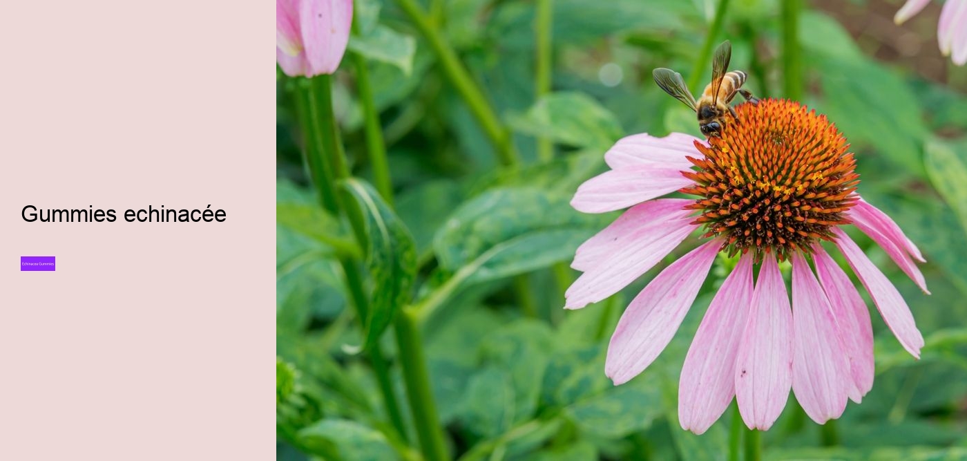 elderberry zinc echinacea gummies