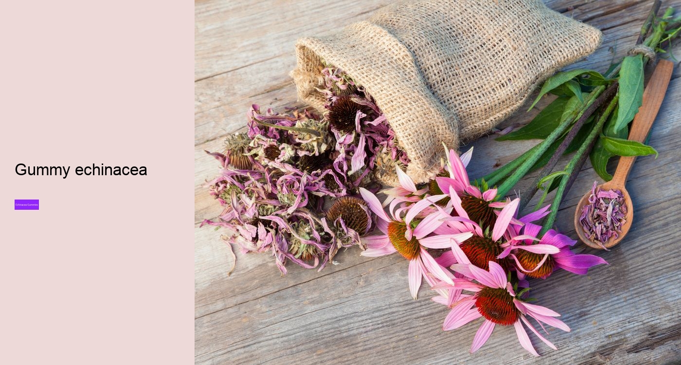 Who should not take echinacea?