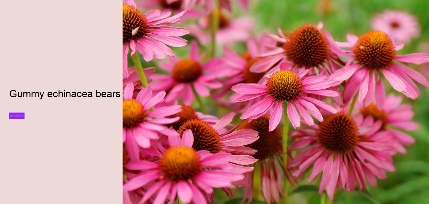 echinacea zinc vitamin c