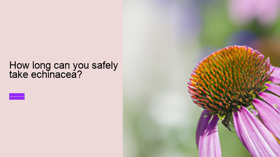 How long can you safely take echinacea?