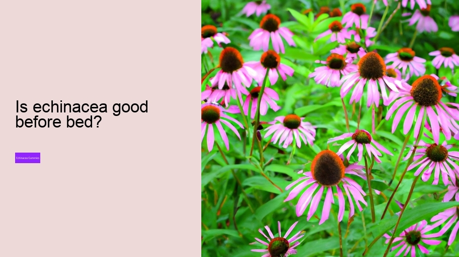 Is echinacea good before bed?