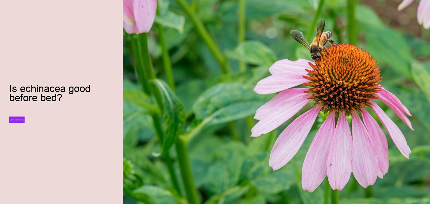 Does echinacea help with hair growth?