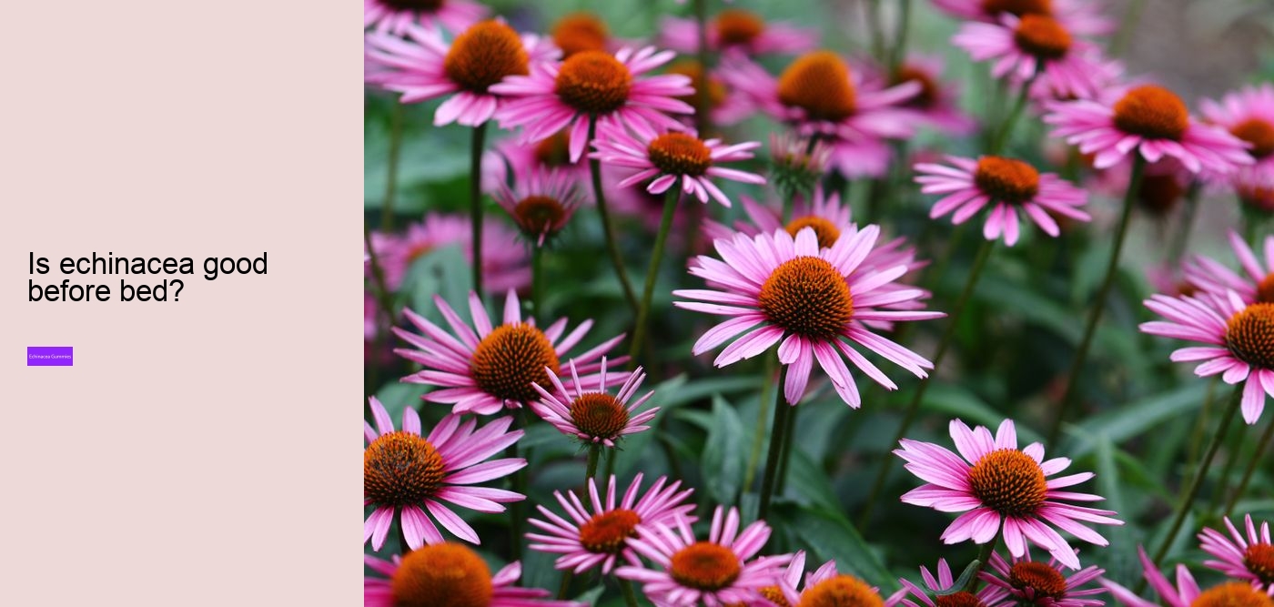 elderberry zinc echinacea gummies